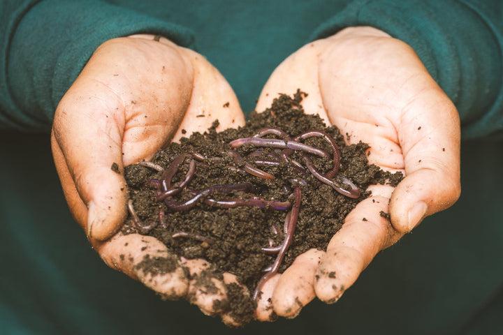 Composting Tips & Tricks