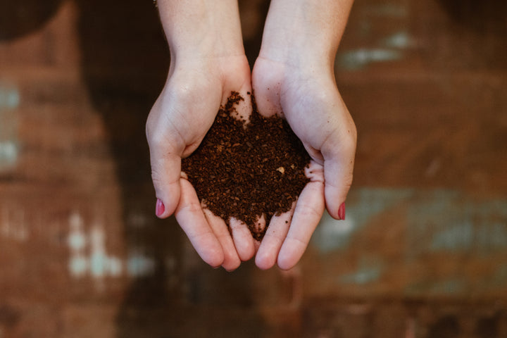Composting in the Winter